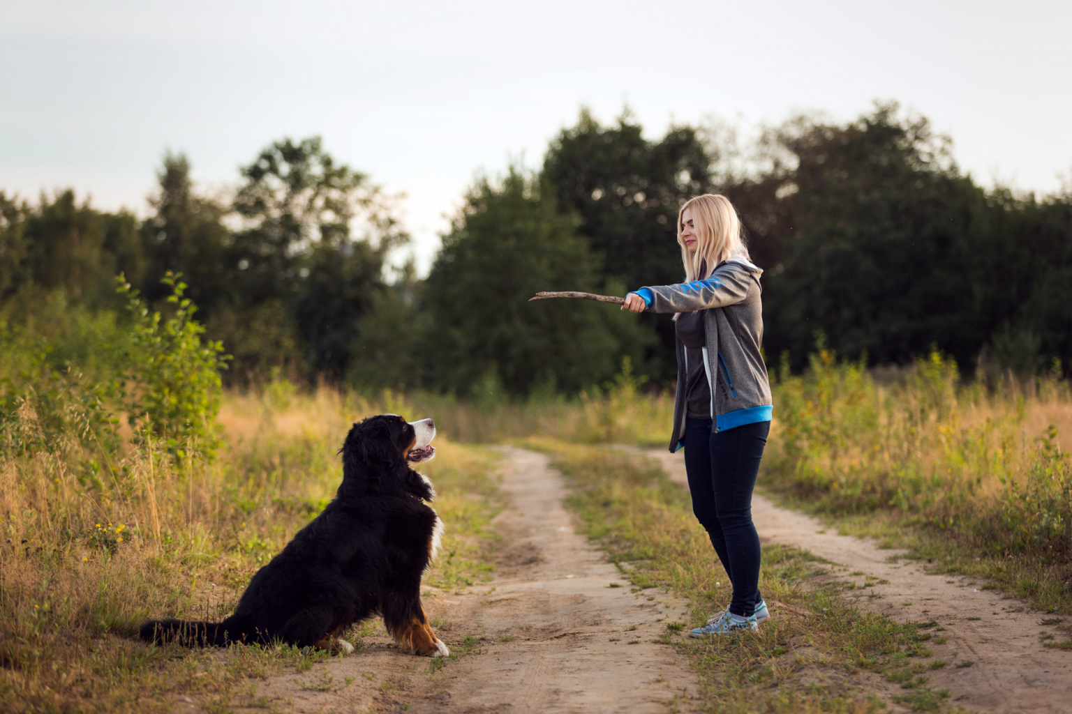 hundetraining-lossburg