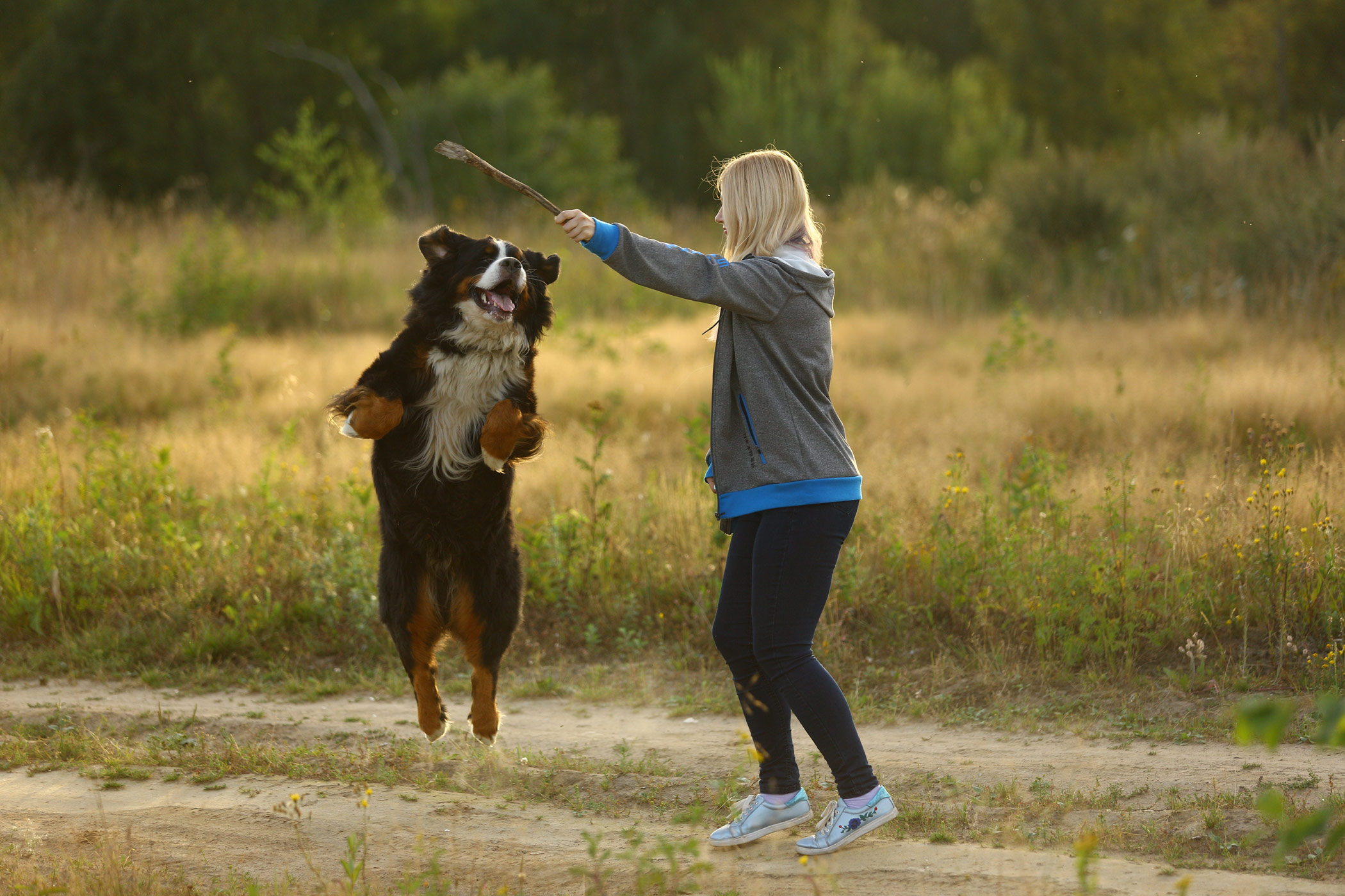 hundetraining5 Hundetraining im Landgasthof Hirsch Lossburg