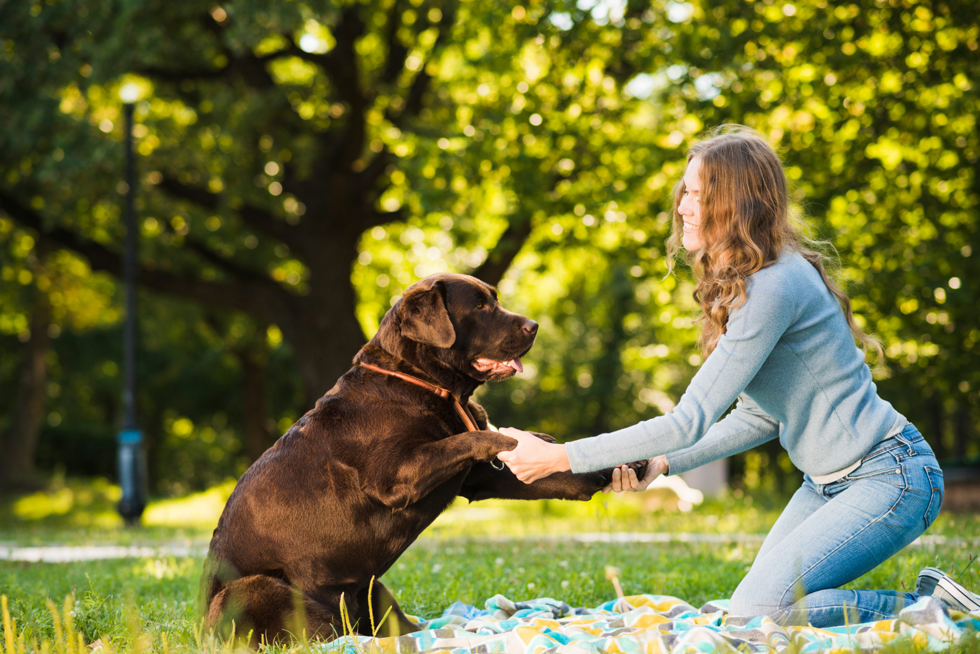 Hundetraining im Landgasthof Hirsch Lossburg