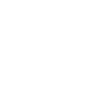 Weißer Hirsch ziert ein Bild