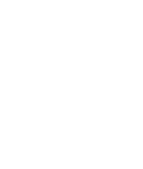 weisser Hirsch ziert ein Bild