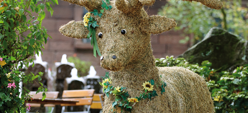 Bild-Stroh-Hirsch-im-Garten