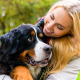 Erlebnistage Hunde Bild