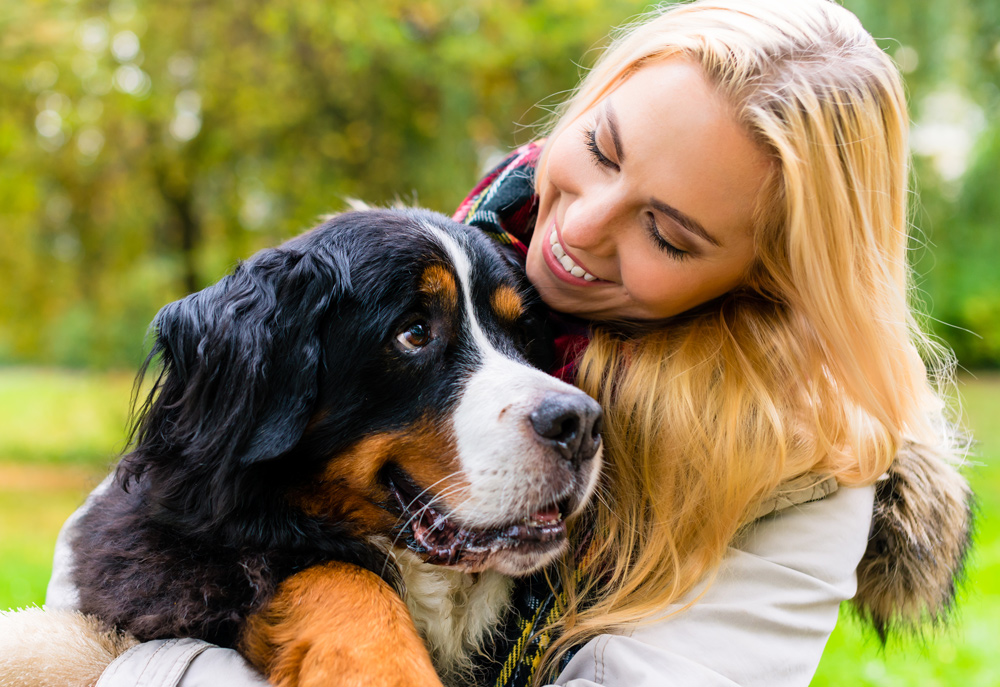 Erlebnistage Hunde Bild